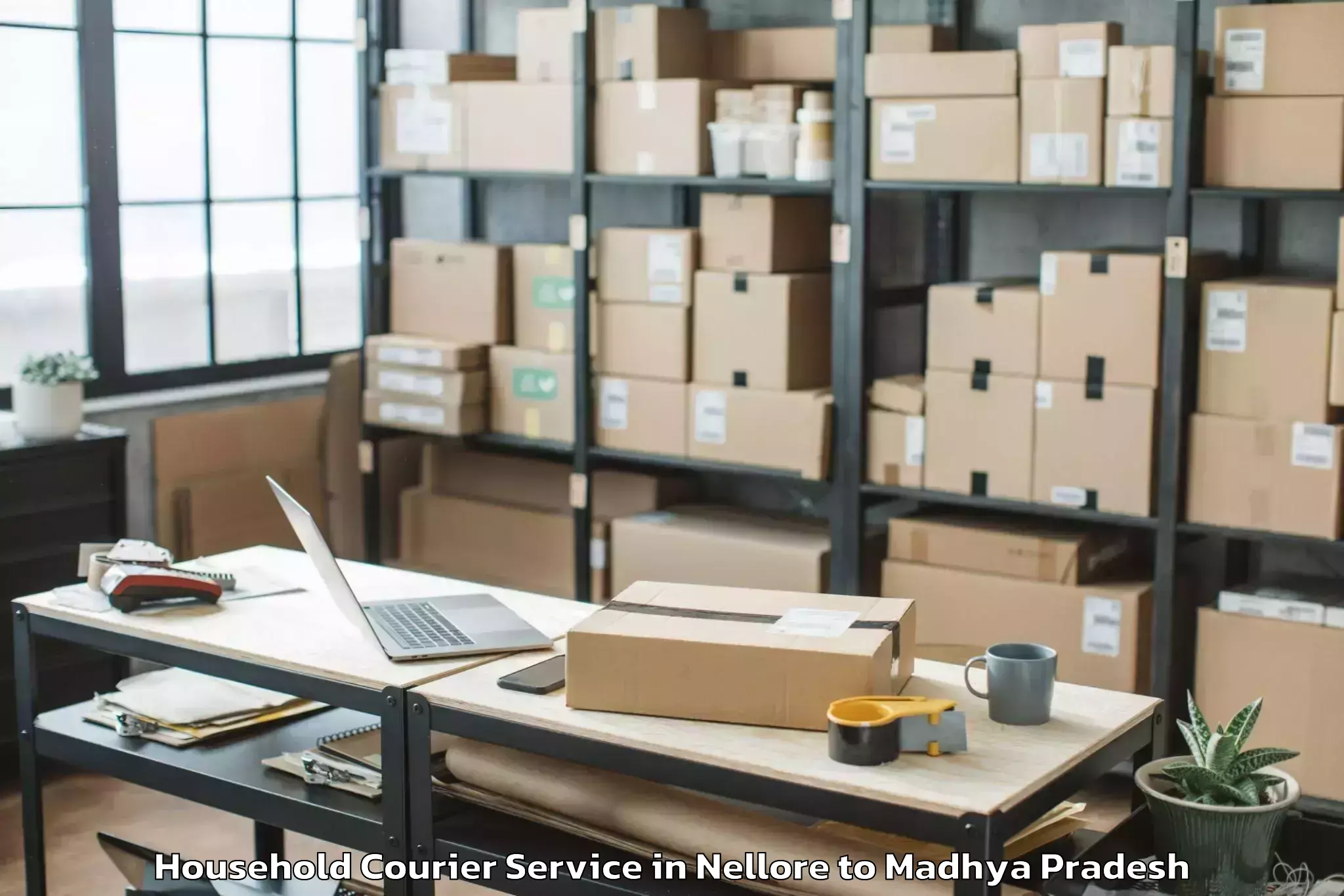 Reliable Nellore to Madhyanchal Professional Unive Household Courier